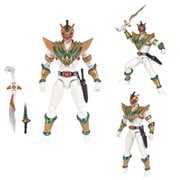 Mighty Morphin Power Rangers Legacy Lord Drakkon Action Figure - Convention Exclusive