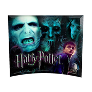 Harry Potter WOHP Voldemort and the Death Eaters Curved Glass StarFire Photo