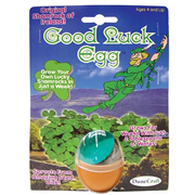 Good Luck Egg Terrarium Kit