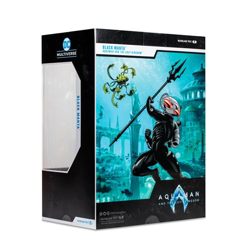 DC Multiverse Aquaman and the Lost Kingdom Movie 12-Inch Statue Case of 2
