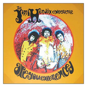 Jimi Hendrix Are You Experienced Canvas Print