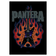 Pantera Guitar Fabric Poster Wall Hanging