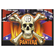 Pantera Flag and Skull Fabric Poster Wall Hanging