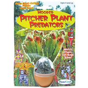 Pitcher Plant Predators Terrarium Kit