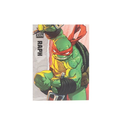 Teenage Mutant Ninja Turtles BST AXN Raphael IDW Comic Wave 1 5-Inch Action Figure
