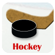 NHL Hockey SMITI Case Ser. 1