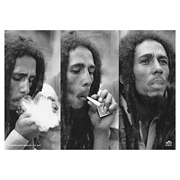 Bob Marley Triple Smoke Fabric Poster Wall Hanging