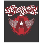 Aerosmith Micro Raschel Fleece Blanket