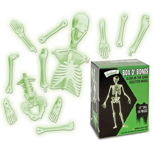 Glow in the dark Skeleton Model Kit Educational Toy 30cm tall Full Skeleton K8 