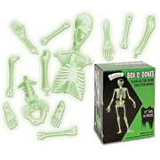 Box O Bones Glow in the Dark Skeleton Model