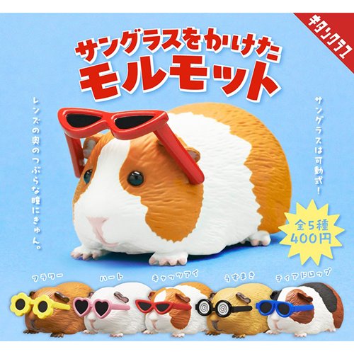 Sunglasses Guinea Pig Blind-Box Mini-Figure Case of 12