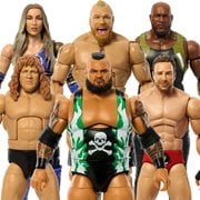 WWE Classic Superstars Wave 16 Action Figure Case