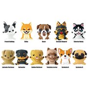 Puppies Series 1 3D Figural Key Chain Display Case