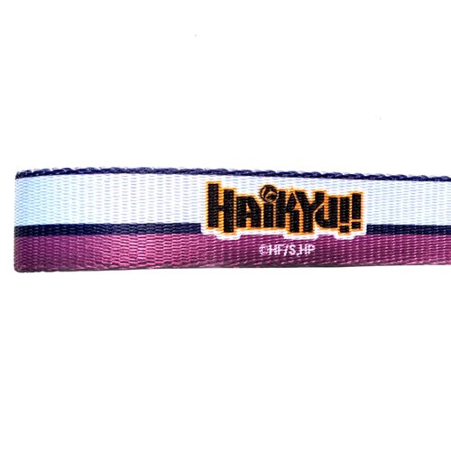 Haikyu!! Tendo Keystrap