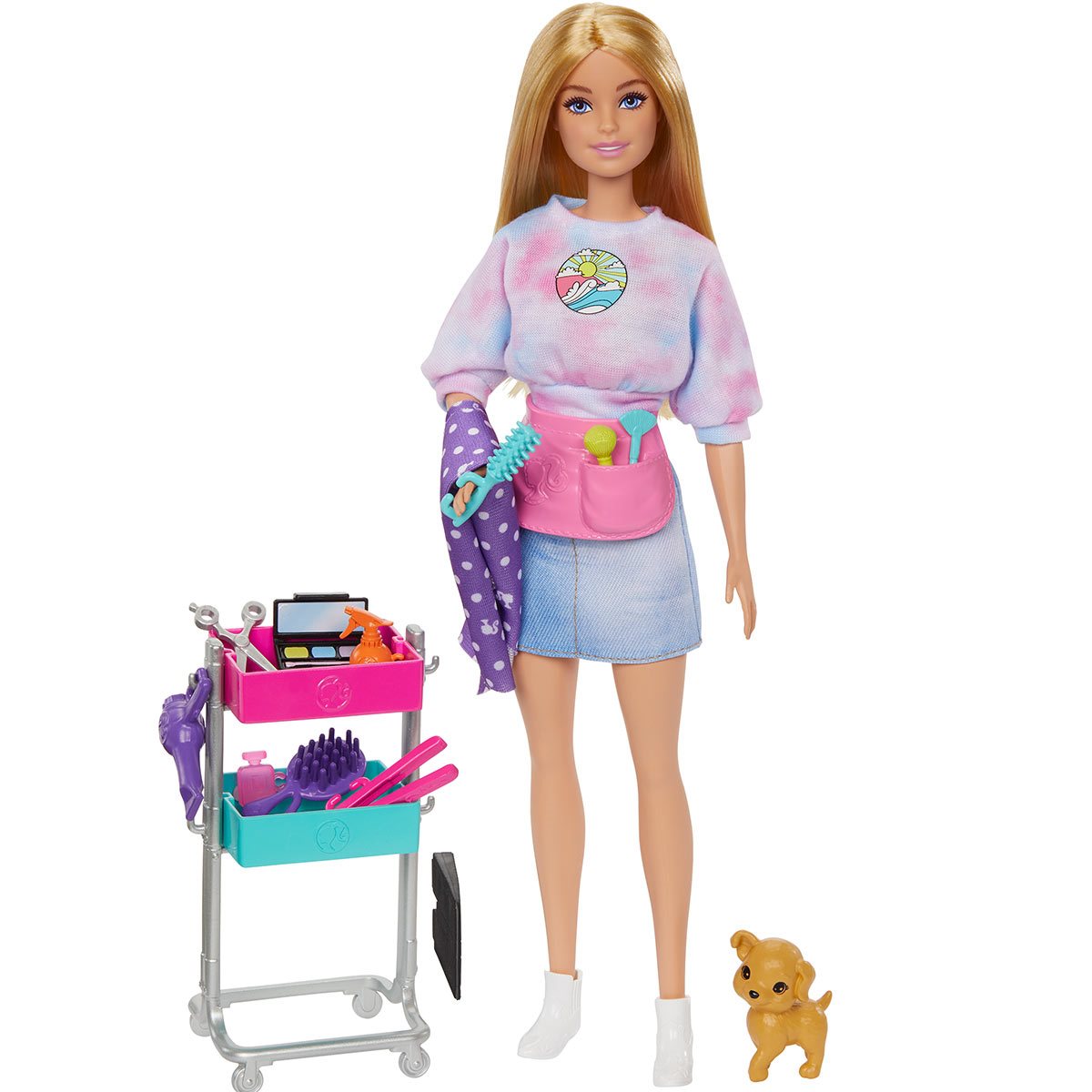 Barbie Malibu Roberts Stylist Doll - Entertainment Earth