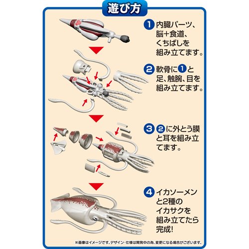 Squid Kaitai Puzzle