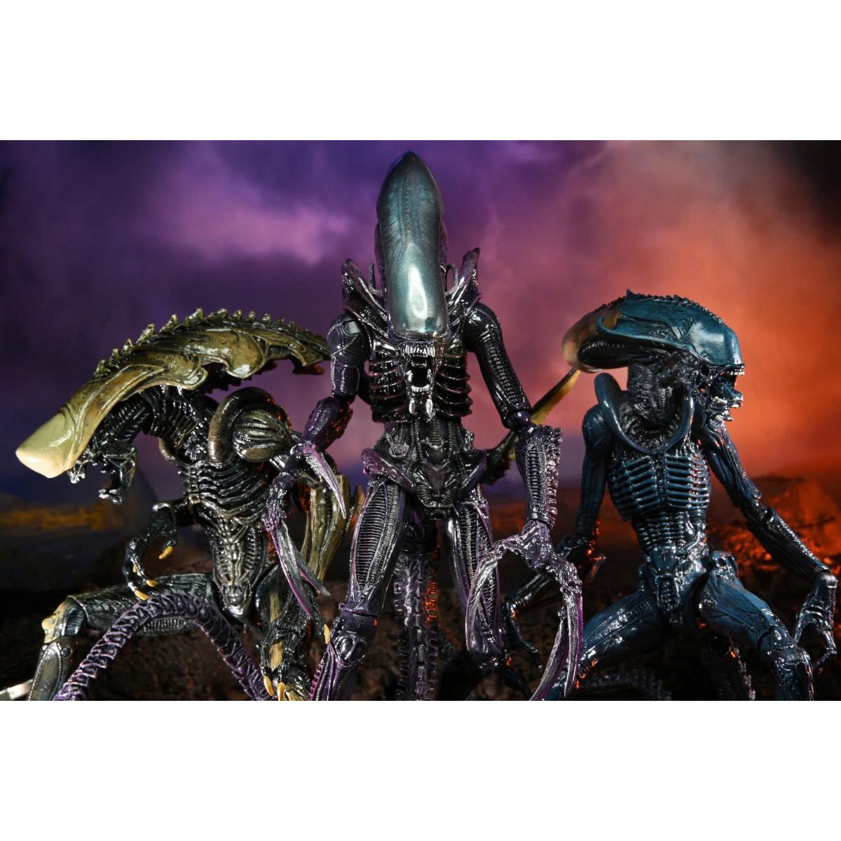 Alien vs Predator Arachnoid Alien (Movie Deco) 7-Inch Scale Action