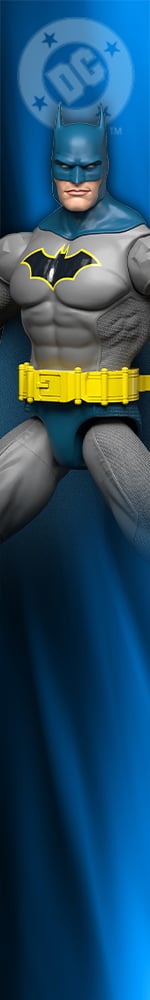 DC Comics Batman Side Banner