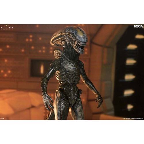 Alien: Earth Ultimate Wendy's Xenomorph 7-Inch Scale Action Figure