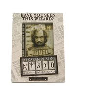 Harry Potter Have You Seen This Wizard Photo Frame