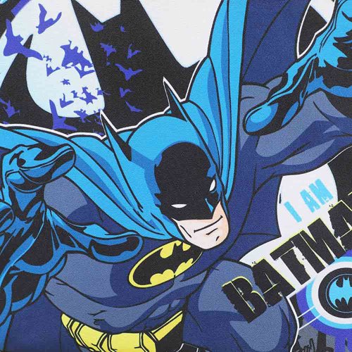 Batman Insulated Lunch Tote