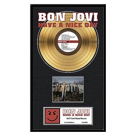 Bon Jovi Have A Nice Day Framed Gold Record