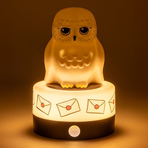 Harry Potter Hedwig Room Guard