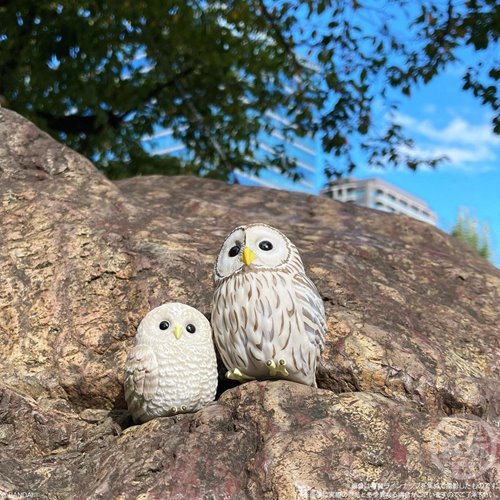 Birds Tenori Friends Series 7 Mini-Figure Case of 12