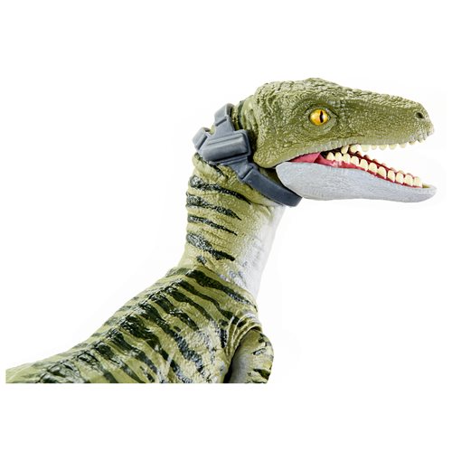 Jurassic World Velociraptor Charlie Amber Collection Action Figure