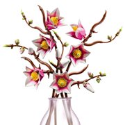 LEGO Botanicals 11510 Magnolia Branches