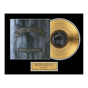 Bon Jovi New Jersey Framed Gold Record