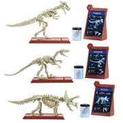 jurassic world anatomy kit