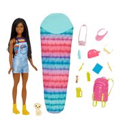 Barbie It Takes Two Camping Brooklyn Doll Playset