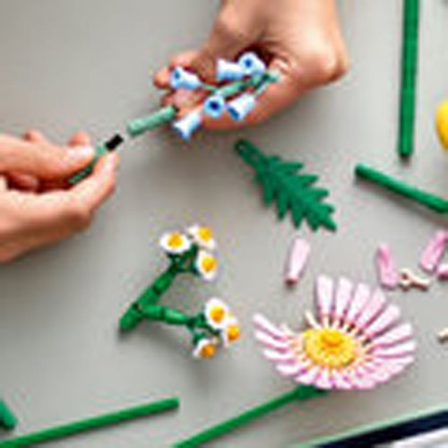 LEGO Botanicals 10347 Petite Sunny Bouquet