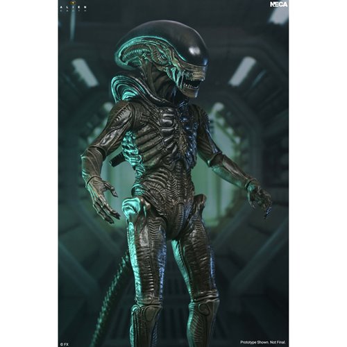 Alien: Earth Ultimate Xenomorph 7-Inch Scale Action Figure