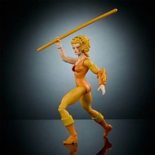 Motu x Thundercat Wave 1 Figure 2 Action Figure