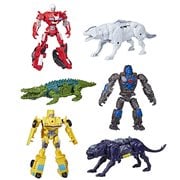 Transformers Rise of the Beasts Beast Combiner Wave 1 Case