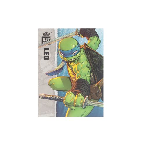 Teenage Mutant Ninja Turtles BST AXN Turtles IDW Comic Wave 1 5-Inch Action Figure Case of 4