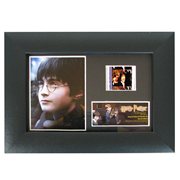 Harry Potter and the Sorcerer's Stone Series 6 Mini Cell