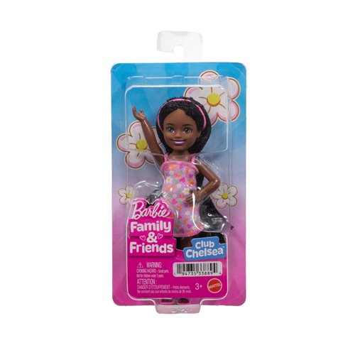Barbie Family & Friends Club Chelsea Ari Doll