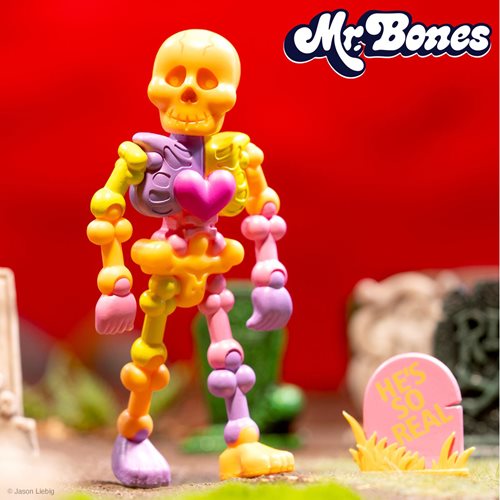 Mr. Bones 3 3/4-Inch ReAction Figure