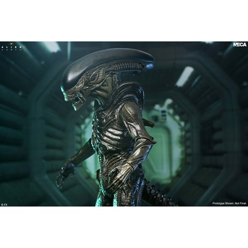 Alien: Earth Ultimate Xenomorph 7-Inch Scale Action Figure