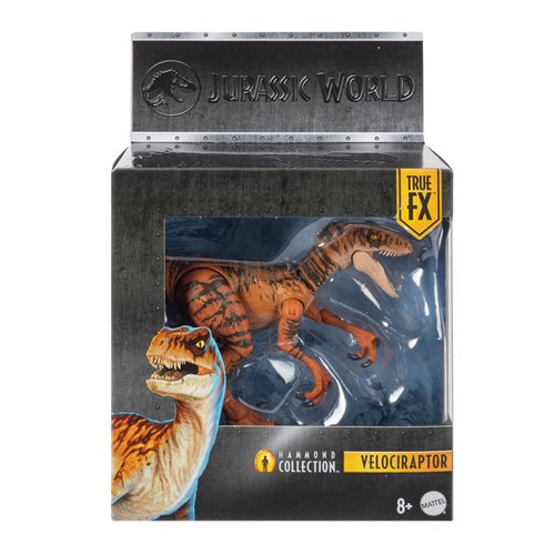 Jurassic World Hammond Collection Velociraptor Tiger Action Figure