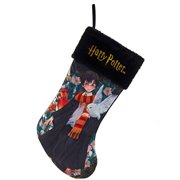 Harry Potter and Hedwig 19-Inch Stocking