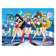 Sailor Moon Group Photo Wall Scroll