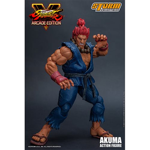 Give me opponents for Akuma from Street Fighter. Please state all