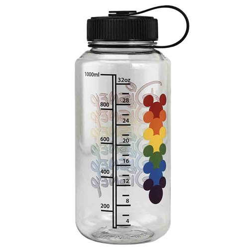 Disney Rainbow Logo 32oz. Water Bottle