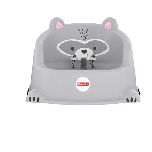 Fisher-Price Hungry Raccoon Booster Seat