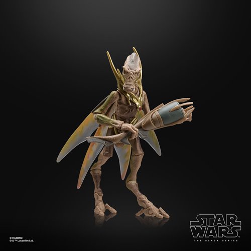 Star Wars The Black Series 2 6-Inch Action Figures Wave 10 Case of 6