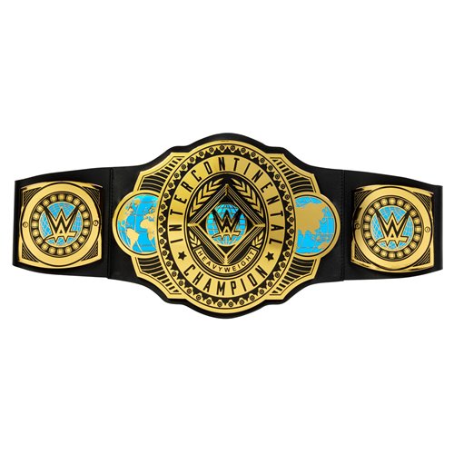 WWE Championship Title Belt Case of 4